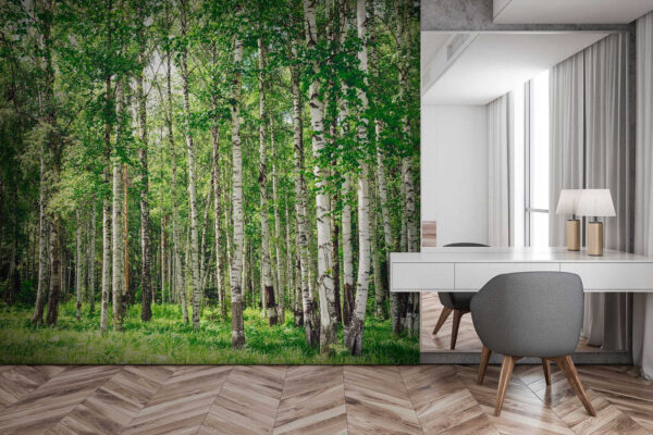 Group of trees in a forest Group of trees in a forest