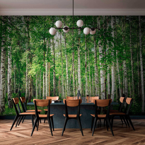 Group of trees in a forest Group of trees in a forest