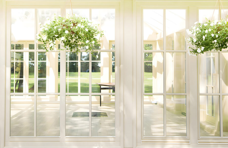 White patio door with glass windows and a potted plant from it