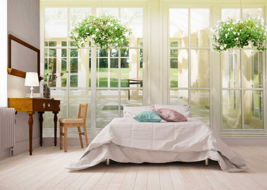 White patio door with glass windows and a potted plant from it