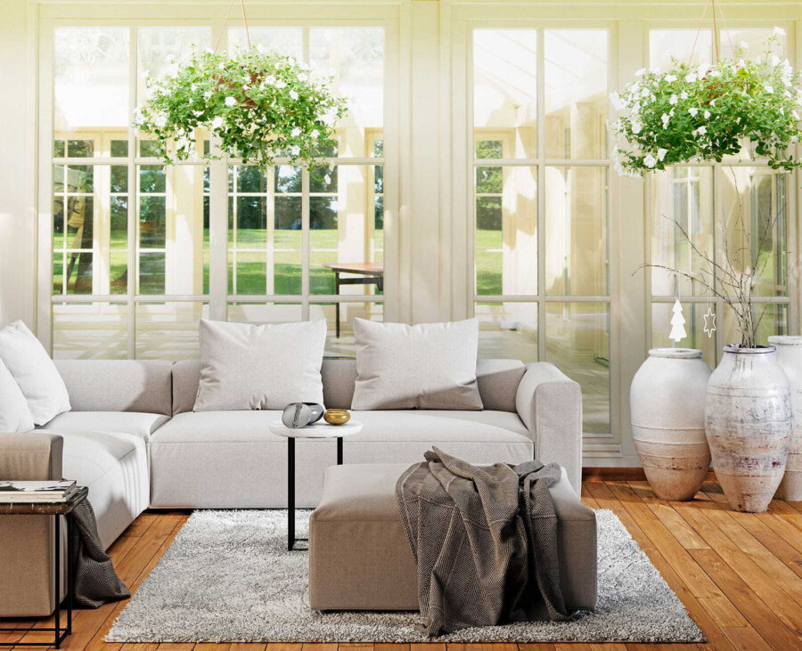 White patio door with glass windows and a potted plant from it