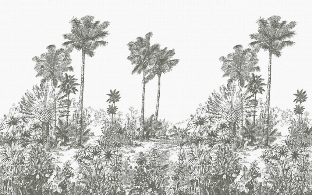 Drawing of palm trees u52638p 1024x640 - Drawing of palm trees - tegory