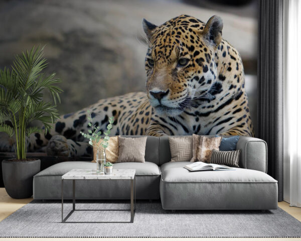 Leopard lying on a wood surface u55313pig53 600x480 - Leopard lying on a wood surface - tegory