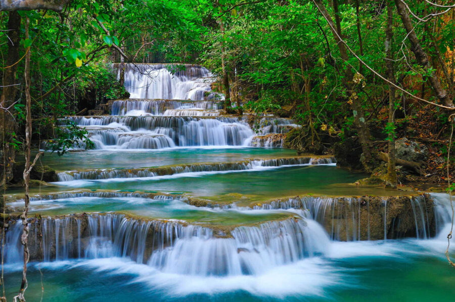 Waterfall in a forest