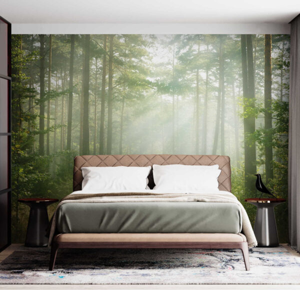 Path through a forest with trees and bushes Path through a forest with trees and bushes