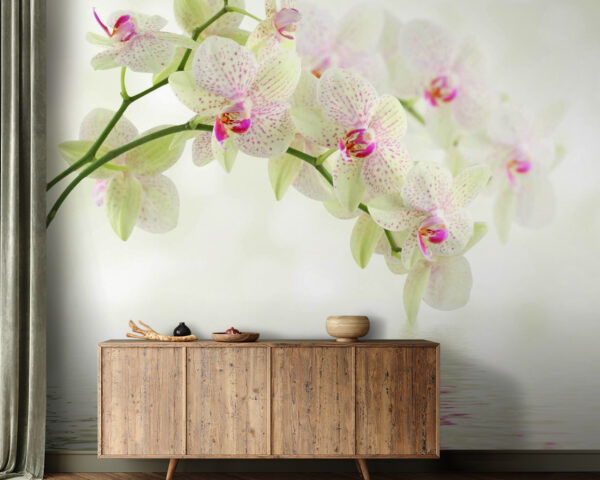 Delicate orchids over gentle water. Delicate orchids over gentle water.