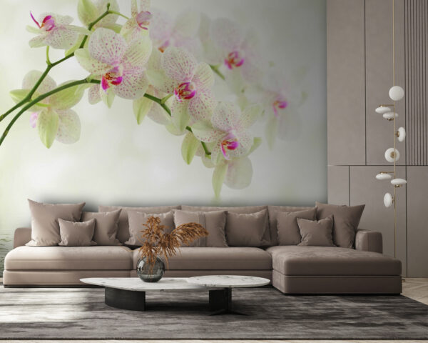 Delicate orchids over gentle water. Delicate orchids over gentle water.