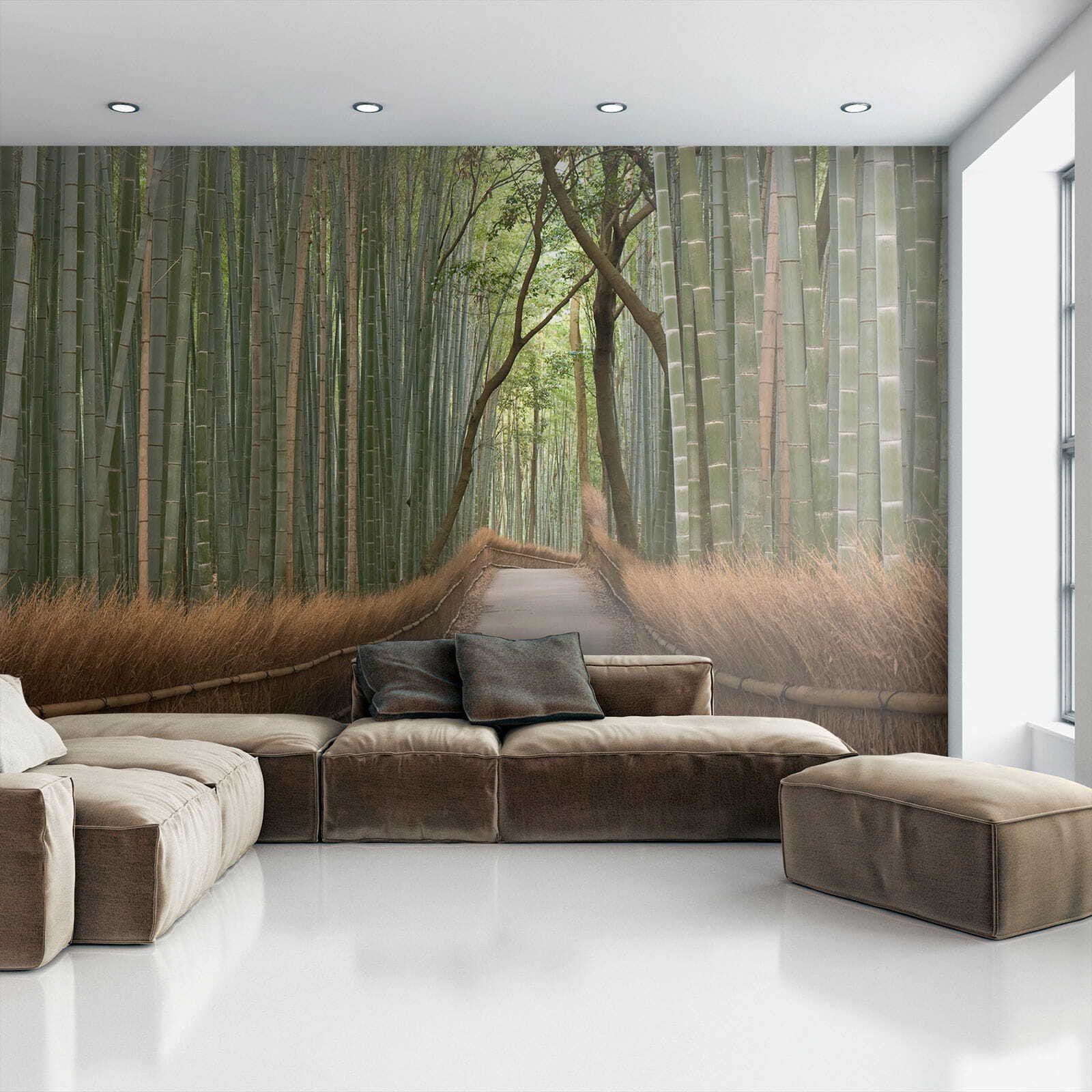 Path through a bamboo forest