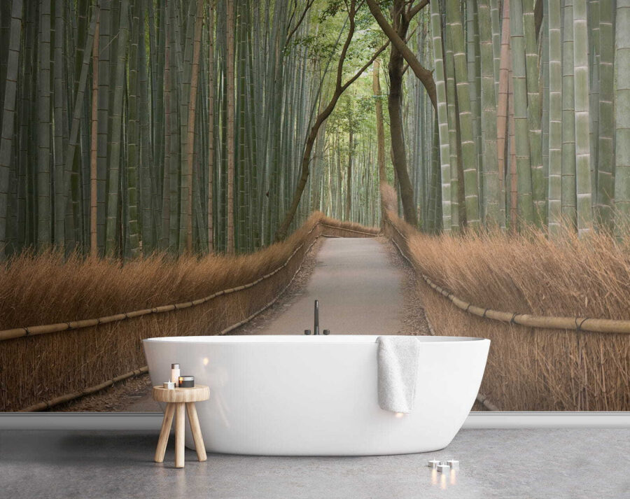 Path through a bamboo forest