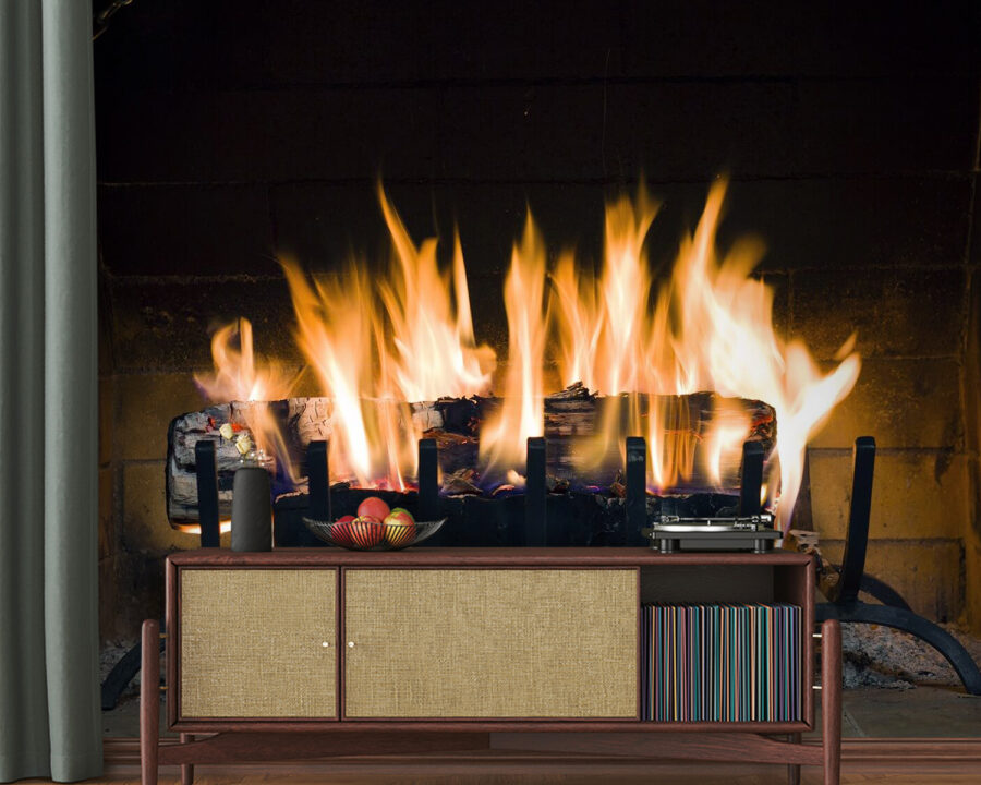 u56584pig20 900x720 - Fire in a fireplace - tegory