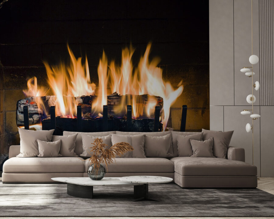 u56584pig58 900x720 - Fire in a fireplace - tegory