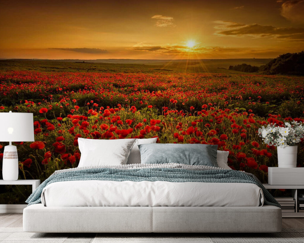 Field of red flowers u56716pib105 1024x819 - Field of red flowers - tegory