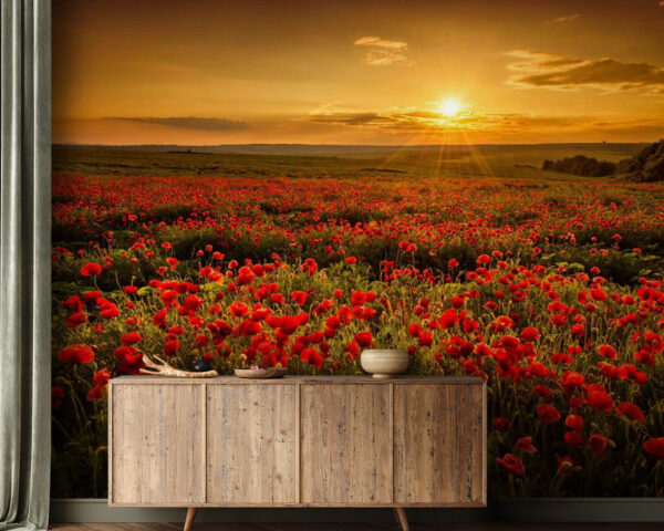 Field of red flowers u56716pig21 600x480 - Field of red flowers - tegory