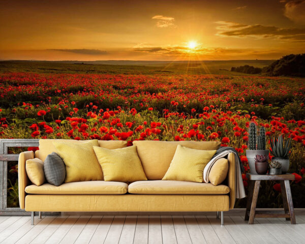 Field of red flowers u56716pig36 600x480 - Field of red flowers - tegory