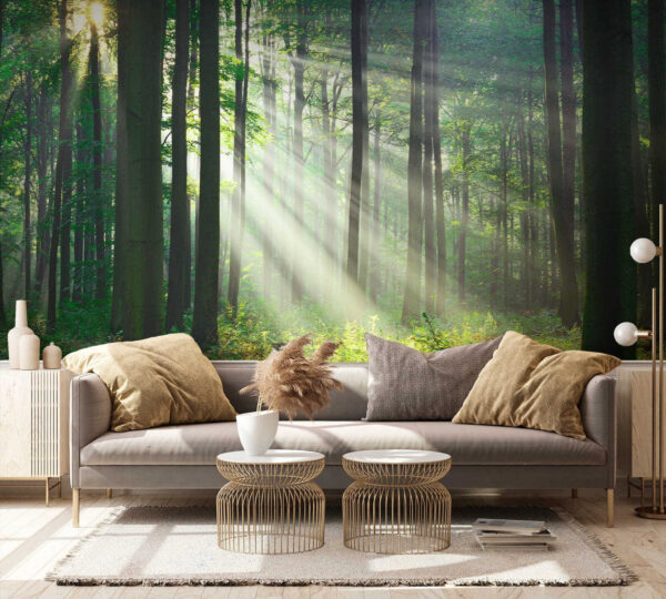 Sunlight shining through trees Sunlight shining through trees