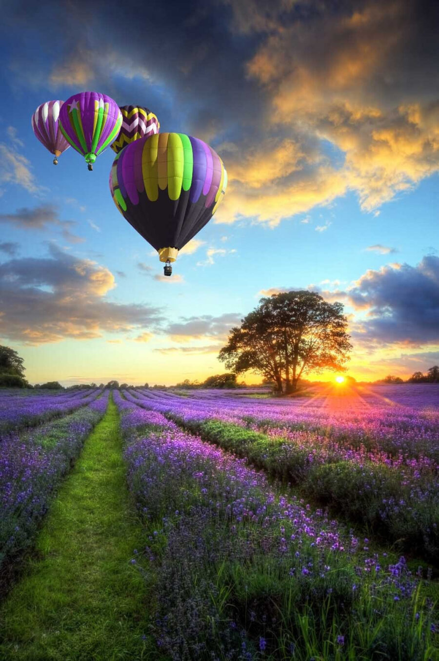 Group of hot air balloons flying over a field of flowers