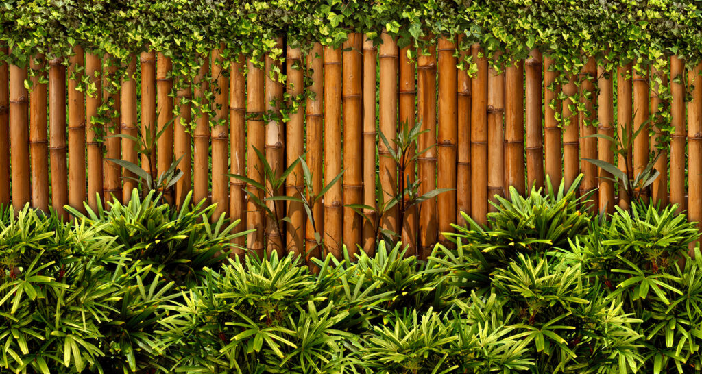 Bamboo fence with plants u60041p 1024x546 - Bamboo fence with plants - tegory