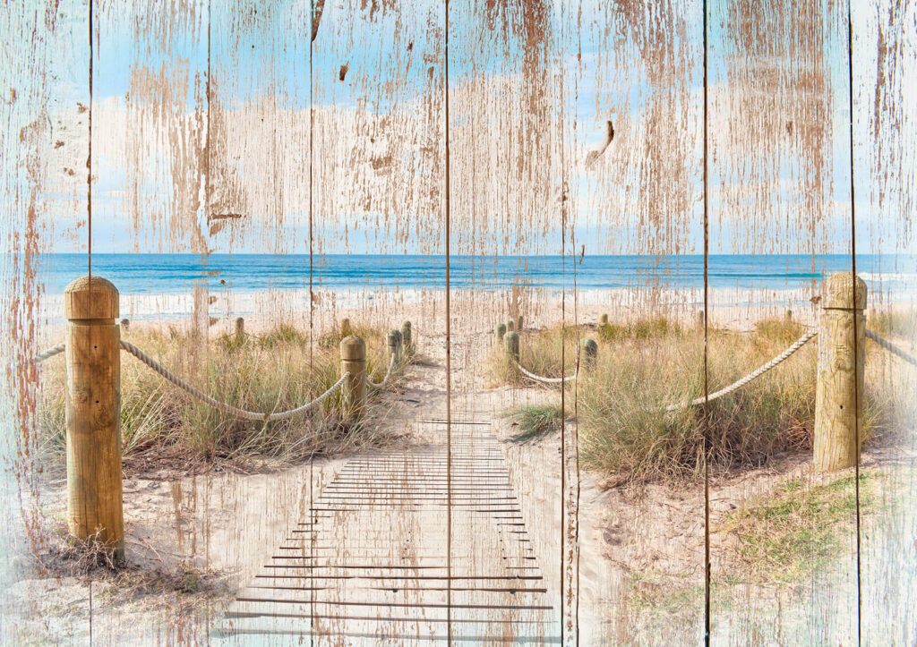 Wooden path leading to a beach u60164p 1024x723 - Wooden path leading to a beach - tegory
