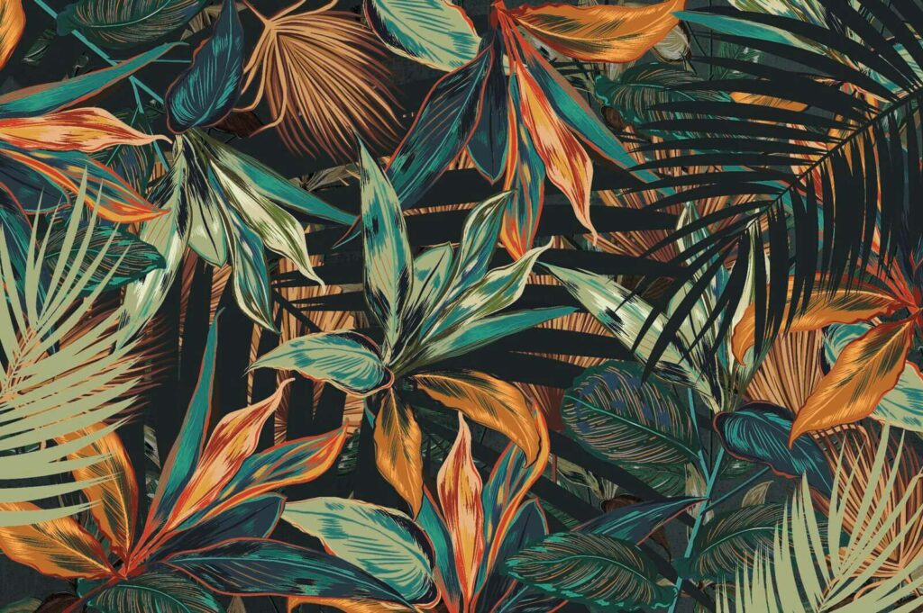 Colorful leaves on a black background u60215p 1024x681 - Colorful leaves on a black background - tegory