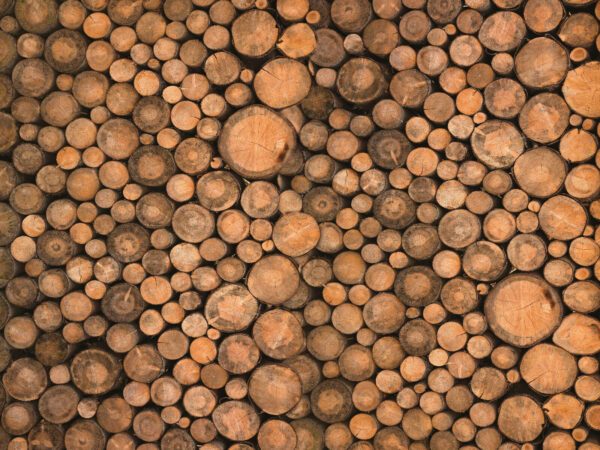 Group of round logs Group of round logs