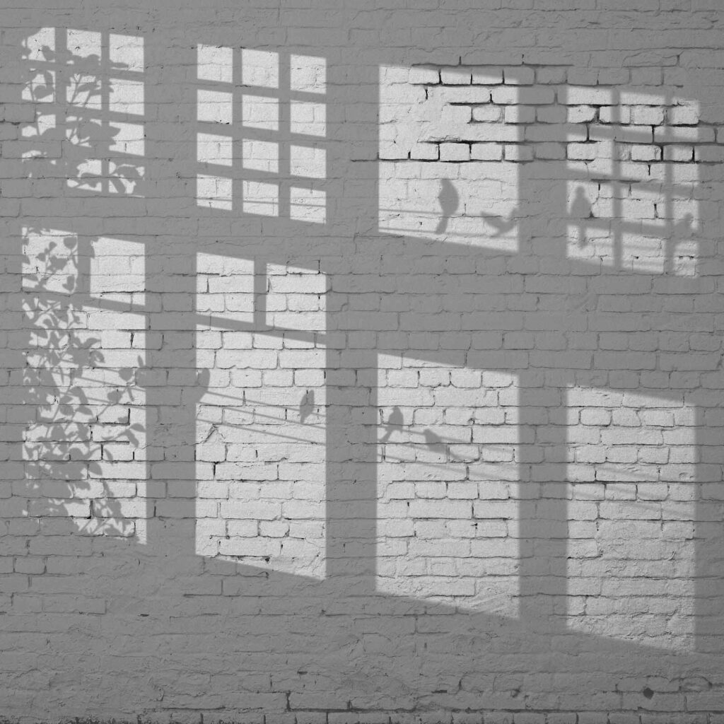 Wall with windows and birds shadow u60229p 1024x1024 - Wall with windows and birds shadow - tegory