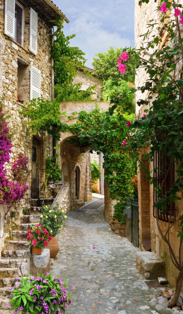 Stone alley with flowers and plants u60467p 596x1024 - Stone alley with flowers and plants - tegory