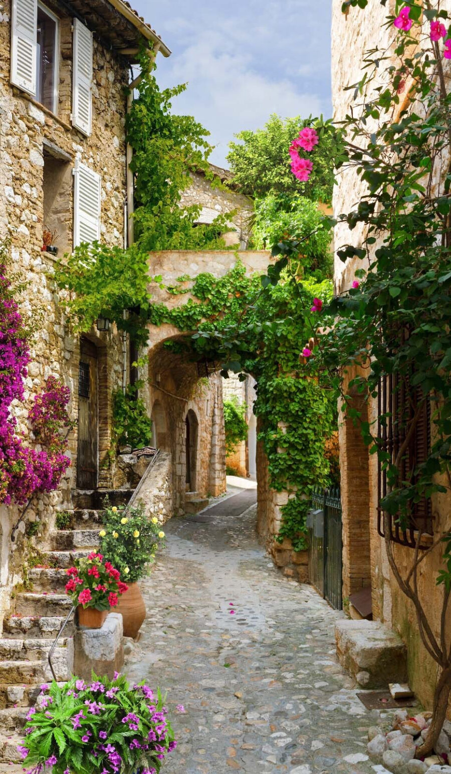 Stone alley with flowers and plants