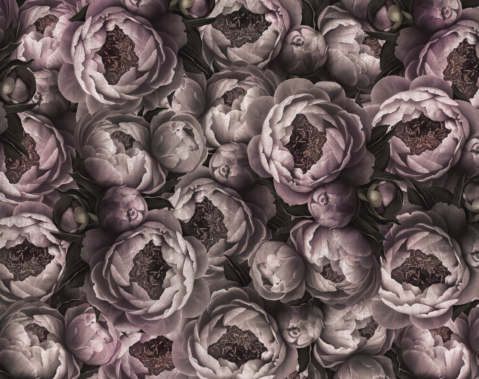 Group of flowers with buds u60496p - Group of flowers with buds - tegory