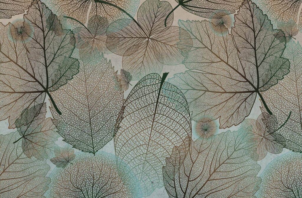 Natural patterns in delicate foliage. u60549p 1024x673 - Natural patterns in delicate foliage. - tegory