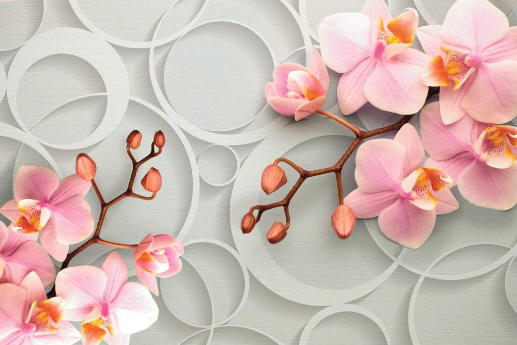 Delicate blooms on a soft backdrop u66595p 1024x683 - Delicate blooms on a soft backdrop - tegory