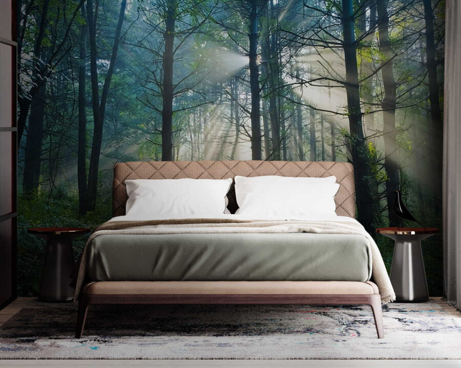 Wall murals Sun shining through trees in a forest