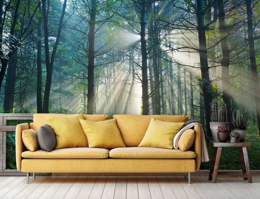 Wall murals Sun shining through trees in a forest - Image 2