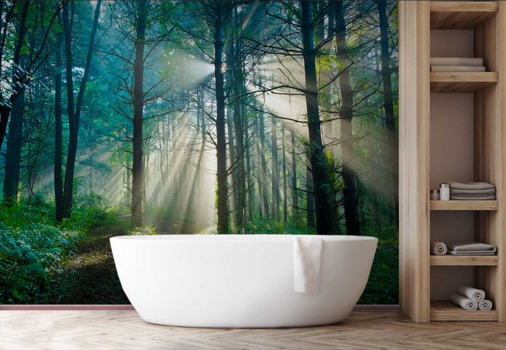 u70959pit1 1024x709 - Sun shining through trees in a forest - tegory