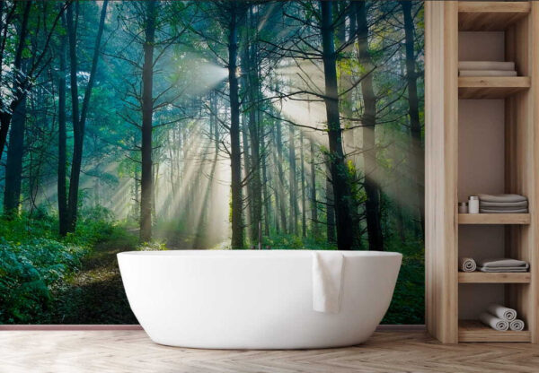 u70959pit1 600x416 - Sun shining through trees in a forest - tegory