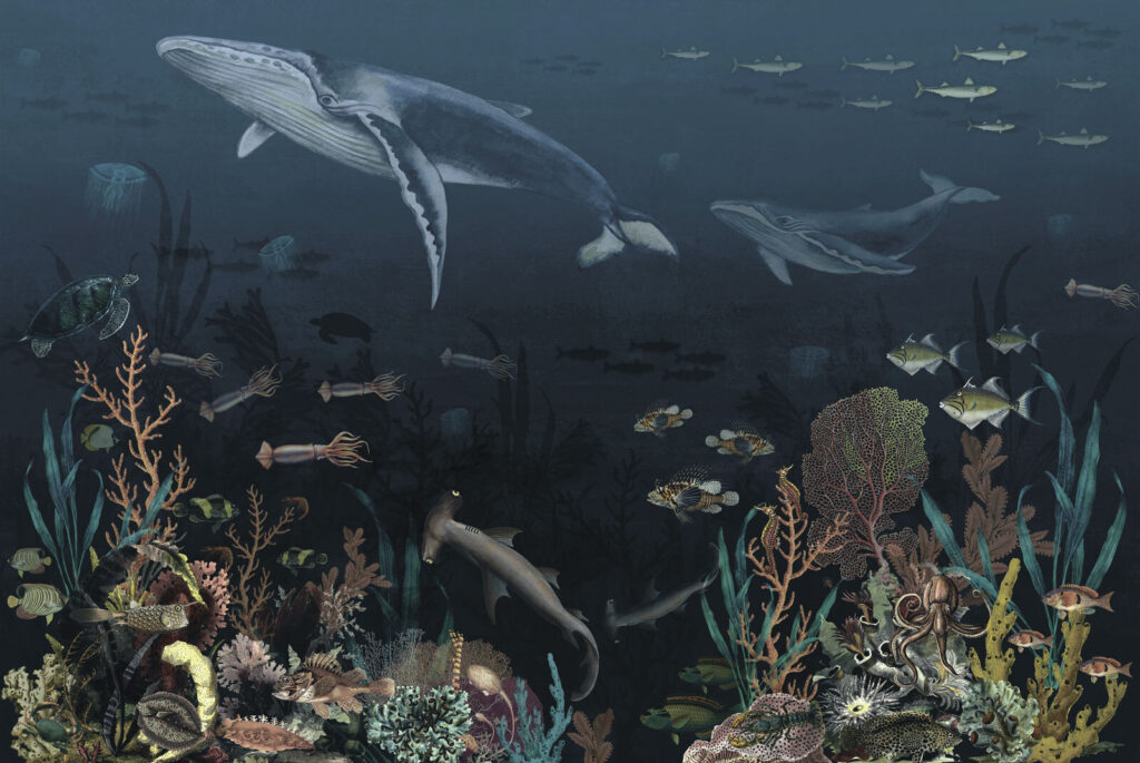 Group of fish and whales swimming in the ocean Group of fish and whales swimming in the ocean