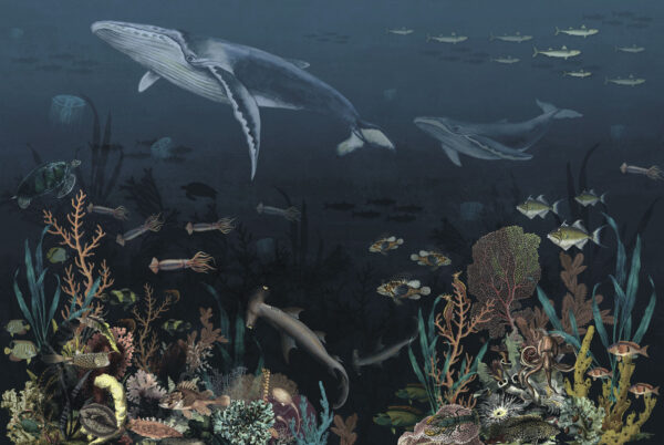 Group of fish and whales swimming in the ocean Group of fish and whales swimming in the ocean