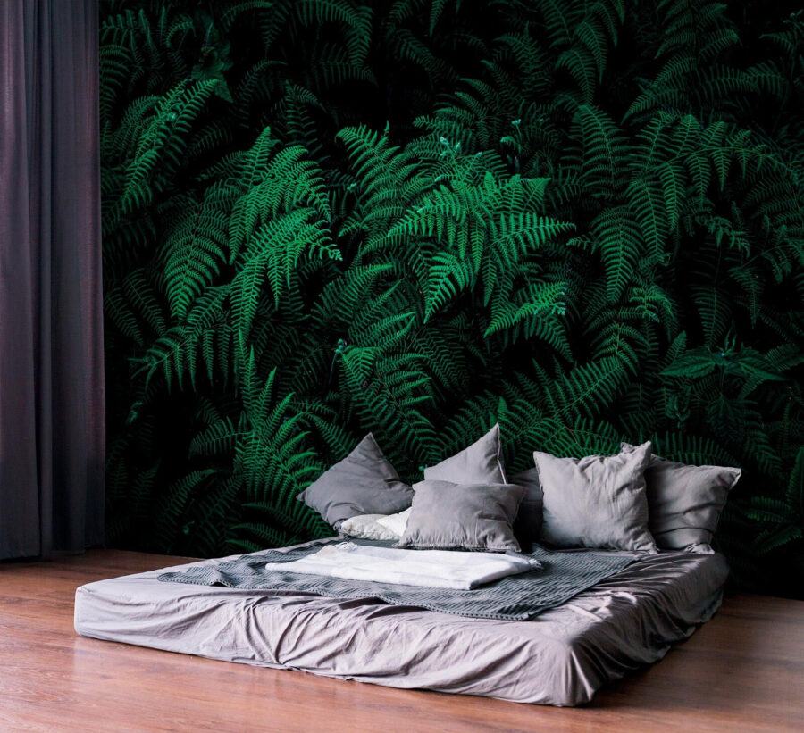 Lush ferns in deep green hues.