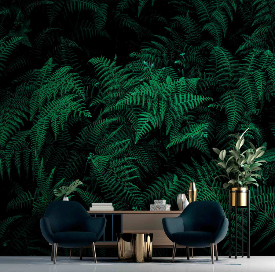 Lush ferns in deep green hues.