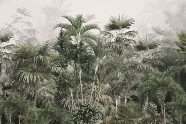 Group of palm trees Group of palm trees