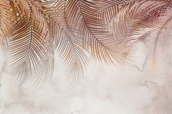 Delicate palms against a soft backdrop. Delicate palms against a soft backdrop.