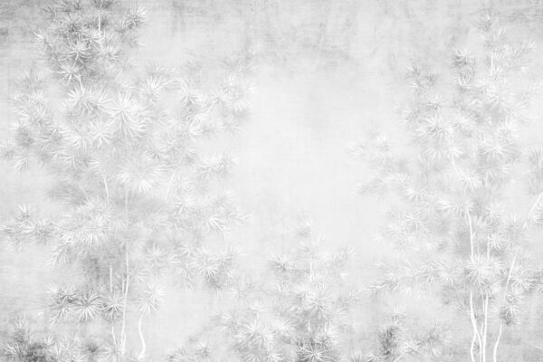 White background with trees u73978p 600x400 - White background with trees - tegory