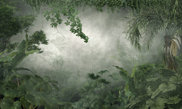 Foggy forest with plants and trees Foggy forest with plants and trees