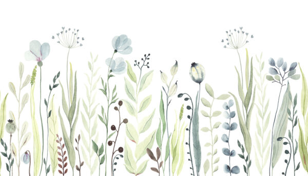 Watercolor painting of flowers and leaves u74870p 600x343 - Watercolor painting of flowers and leaves - tegory