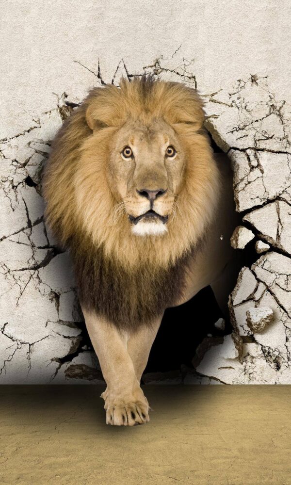Lion walking through a crack wall u77849p 600x1000 - Lion walking through a crack wall - tegory