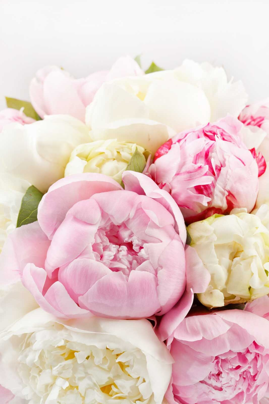 Bouquet of pink and white flowers u77985p - Bouquet of pink and white flowers - tegory