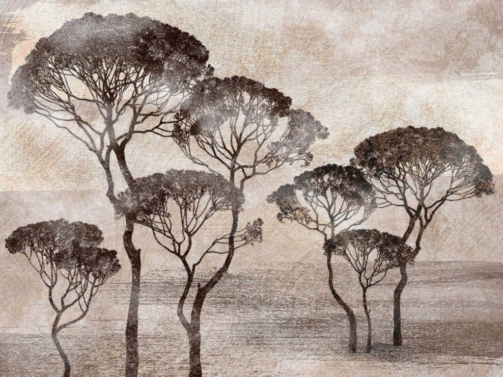 Group of trees in a field Group of trees in a field