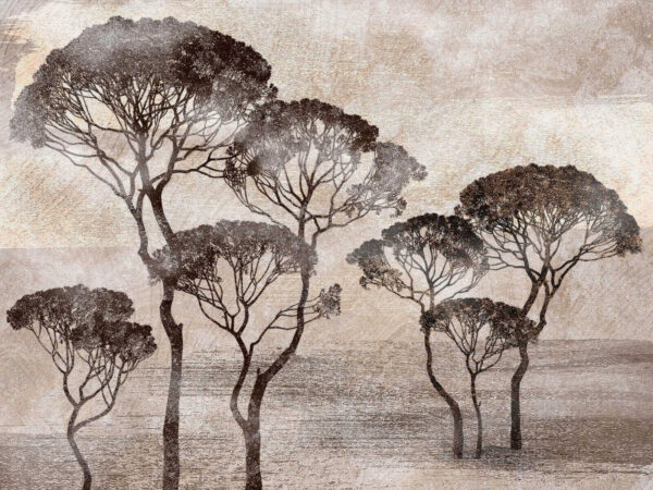 Group of trees in a field Group of trees in a field