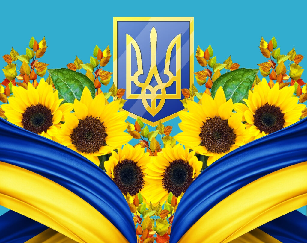 Group of sunflowers and a blue and yellow curtain Group of sunflowers and a blue and yellow curtain