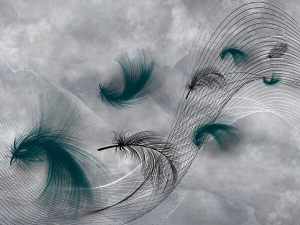 Elegant swirls of flowing feathers. Elegant swirls of flowing feathers.