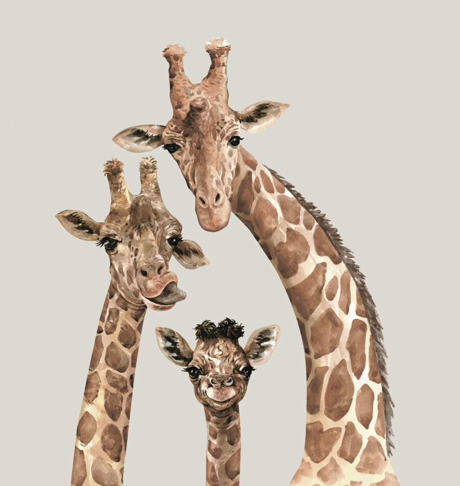 A group of giraffes with their heads together